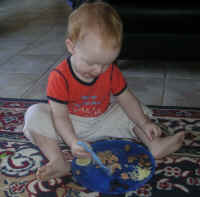 baby led introduction to solids