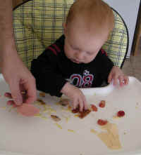 baby-led introducing solids